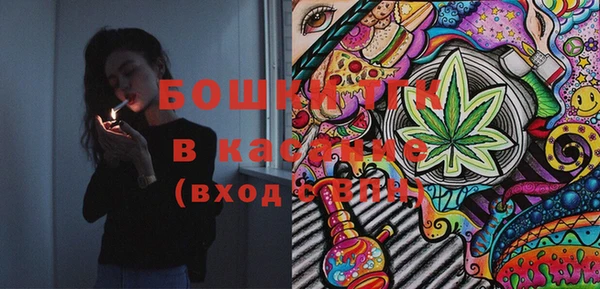 стаф Арсеньев