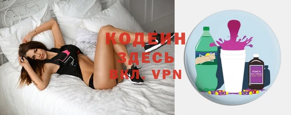 прущие грибы Аркадак