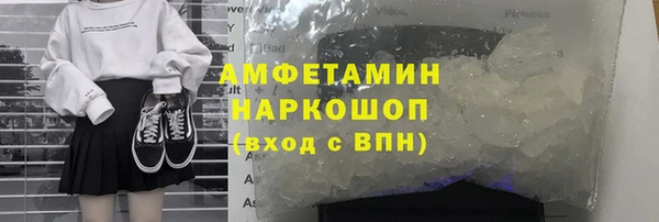 прущие грибы Аркадак