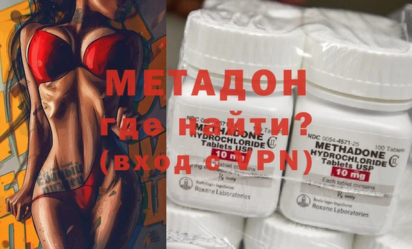 прущие грибы Аркадак