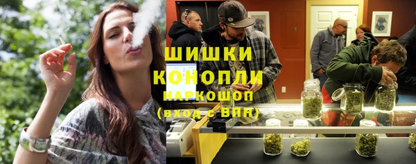 прущие грибы Аркадак