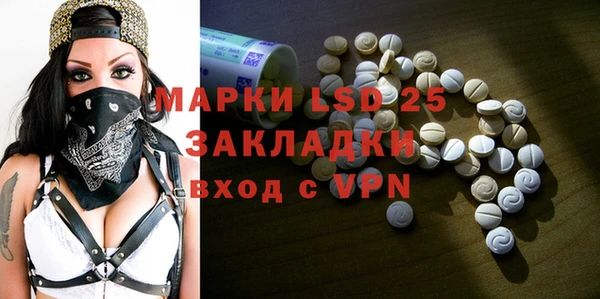 прущие грибы Аркадак