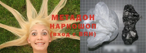 прущие грибы Аркадак