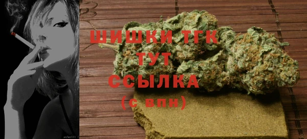 прущие грибы Аркадак
